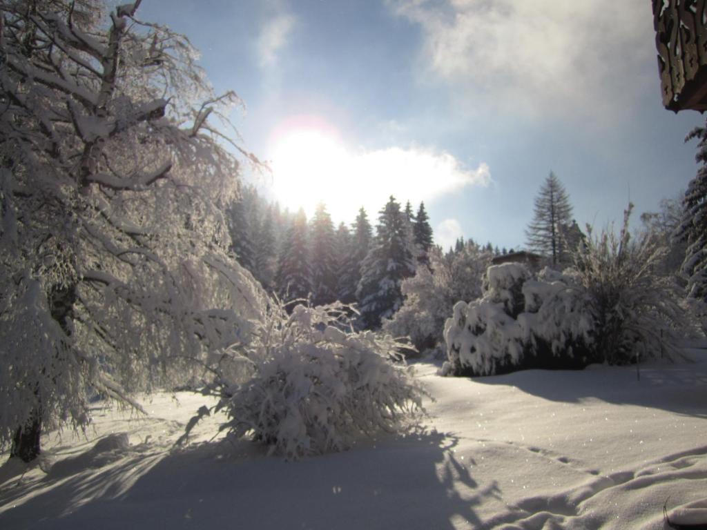 Beausoleil Bed and Breakfast Chamonix Esterno foto